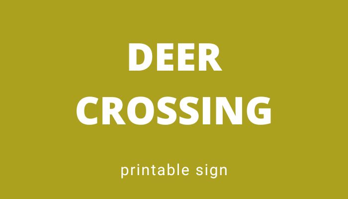 deer crossing featured image