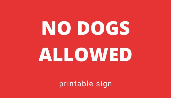 no dogs allowed featured image