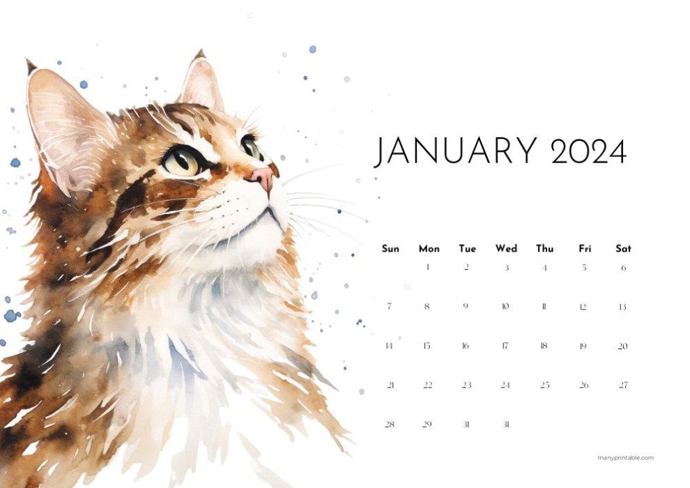 January 2024 printable calendar with watercolour cat illustration