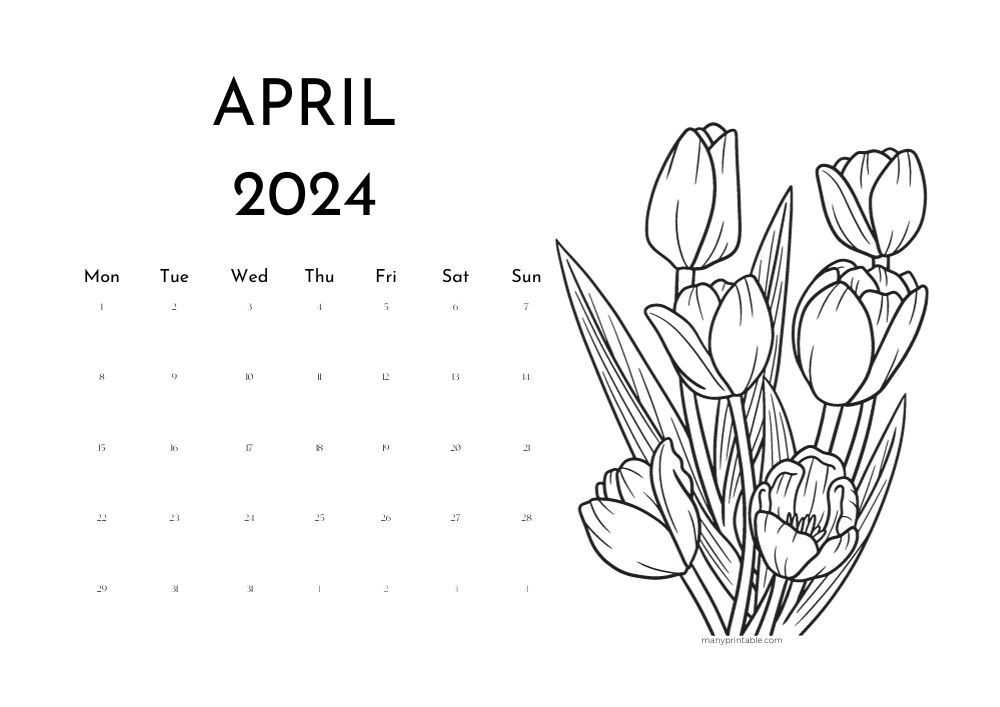 Monday-starting April calendar to print for 2024 with a drawing for coloring