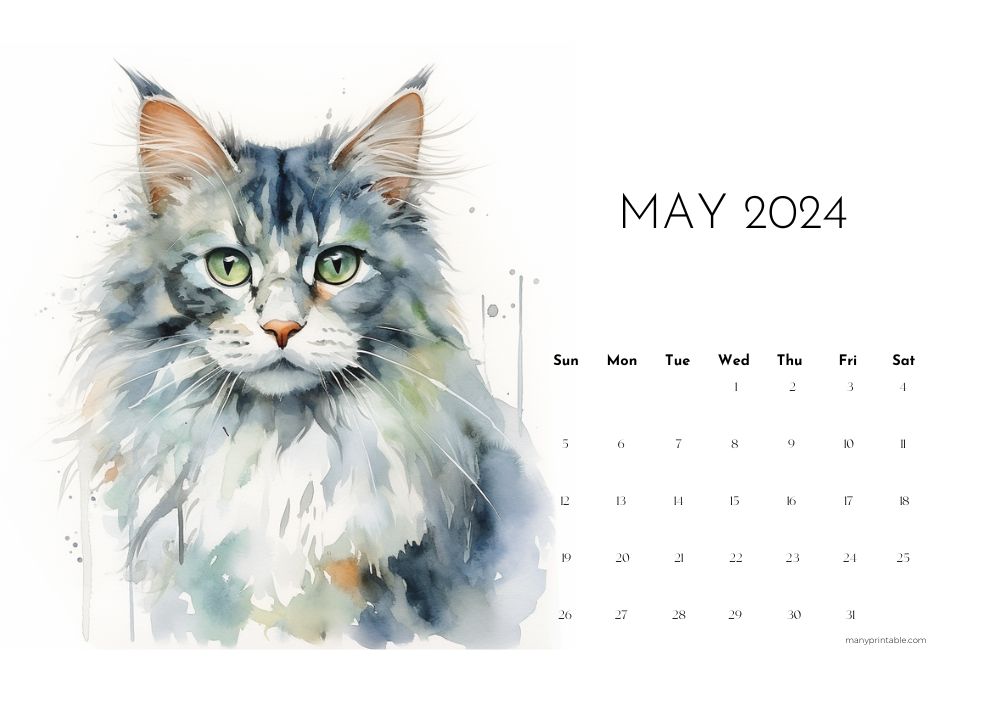 May 2024 printable calendar with watercolor cat drawing