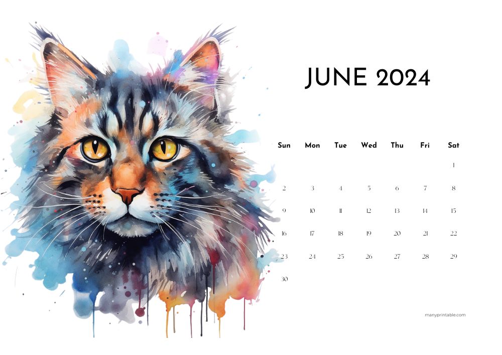 Creative June 2024 calendar with watercolor cat drawing