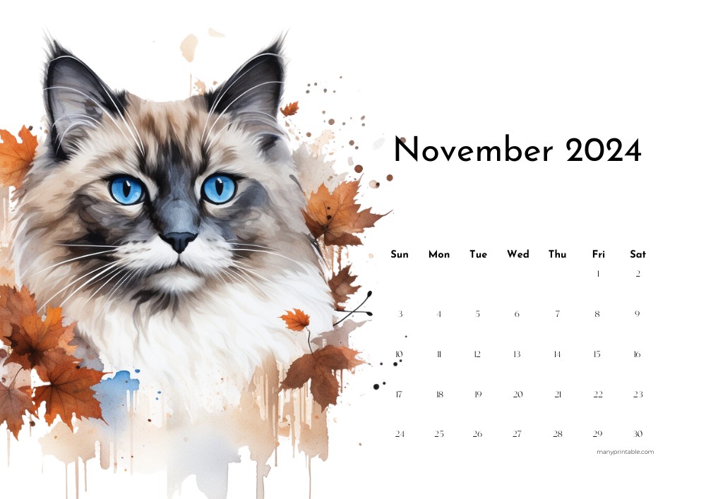 Creative 2024 November Cat Calendar