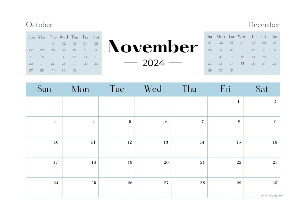 Blue Minimalist November 2024 Calendar 