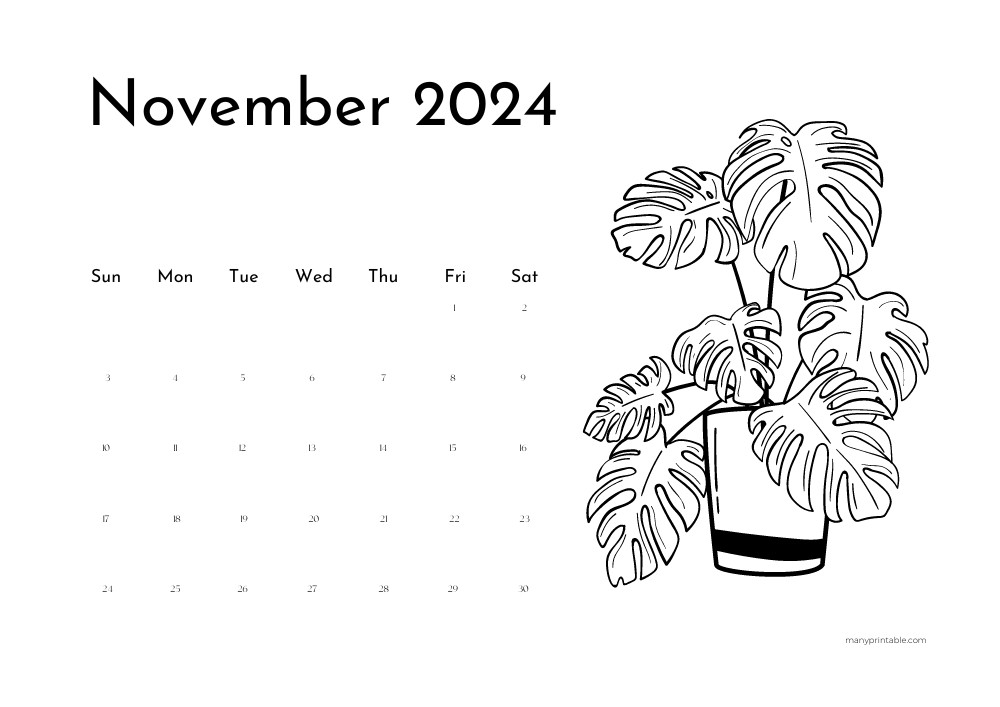 Creative 2024 November Calendar with a flower drawing to color